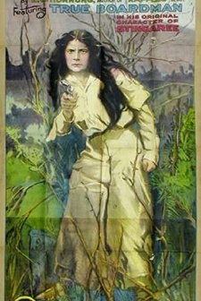 Stingaree (1915) afişi