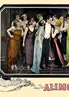 Alimony (1924) afişi