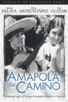 Amapola Del Camino (1937) afişi
