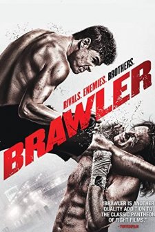 Brawler (2011) afişi