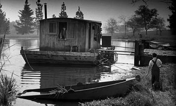 Caniler Avcısı Fotoğrafı