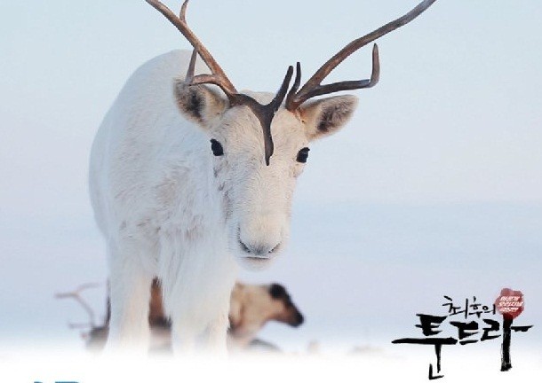 The Final Tundra fotoğrafı