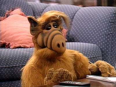 Alf Fotoğrafı