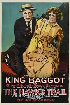 The Hawk's Trail (1919) afişi