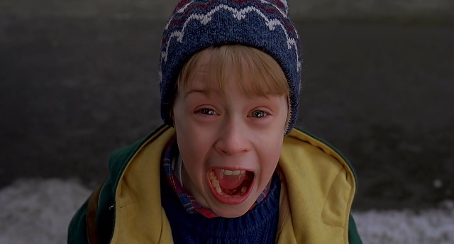 Evde Tek Başına 2 Fotoğrafı