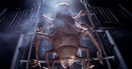 Daud: Fun On The Run fotoğrafı