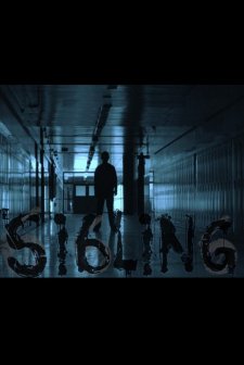 The Sibling (2011) afişi