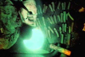 The Quick And The Undead fotoğrafı