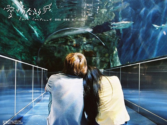 Love Contract fotoğrafı