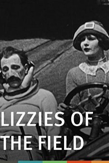 Lizzies Of The Field (1924) afişi