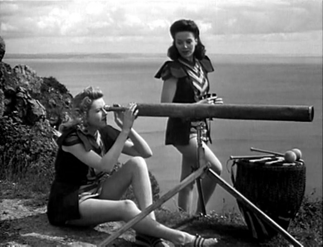 Bees In Paradise Fotoğrafı