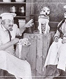 Ham And The Sausage Factory (1915) afişi