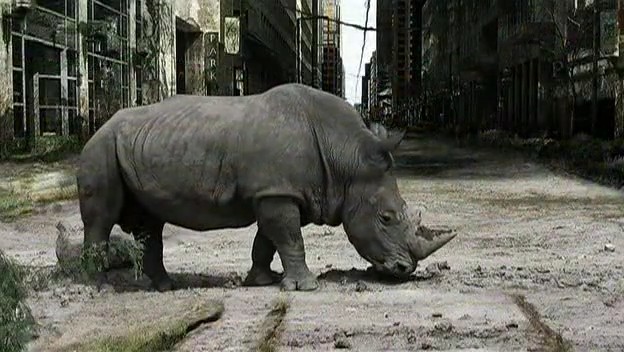 İnsandan Sonraki Yaşam Fotoğrafı