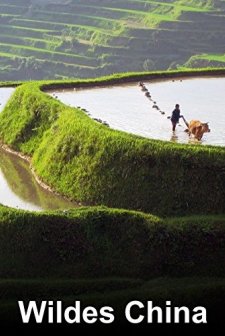 Zwischen Ebbe Und Flut (1950) afişi