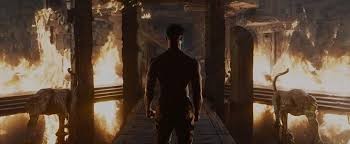 Black Panther Fotoğrafı