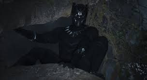 Black Panther Fotoğrafı