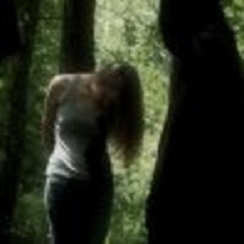 The Sky Has Fallen Fotoğrafı