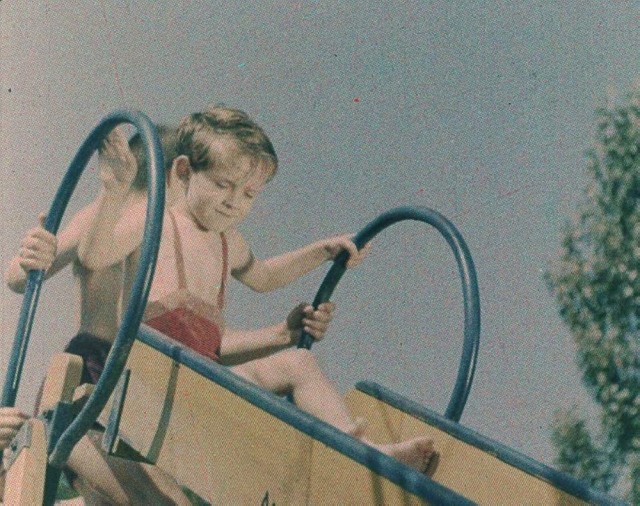 Alice in Switzerland (1942) afişi