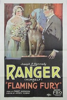 Flaming Fury (1926) afişi