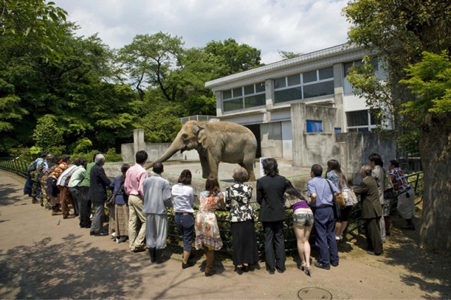 Anywhere In The World Fotoğrafı