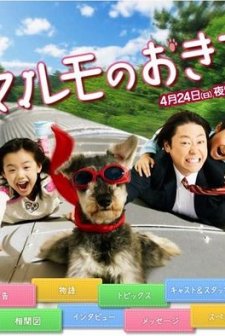 The Tradition Of Malmo (2011) afişi