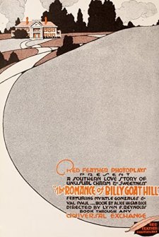 A Romance Of Billy Goat Hill (1916) afişi