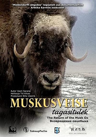 Muskusveise Tagasitulek (2008) afişi