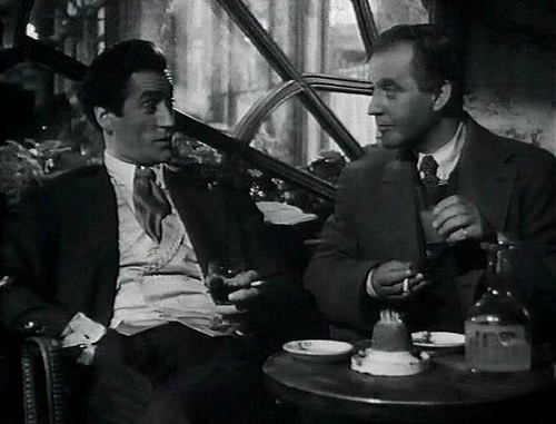 The Spider And The Fly fotoğrafı