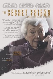 The Secret Friend (2010) afişi