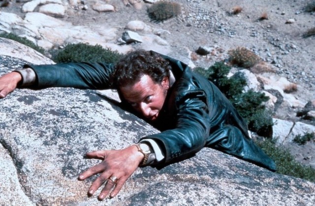 Afacanlar Ormanda Fotoğrafı