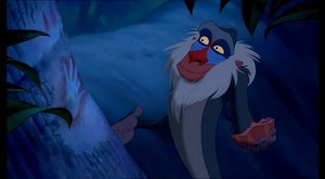 Aslan Kral Fotoğrafı