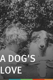 A Dog's Love (1914) afişi
