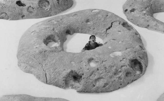 Eyvah Çocuklar Küçüldü Fotoğrafı