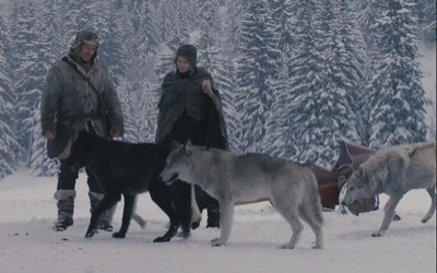 Bakire ile Kurtlar Fotoğrafı