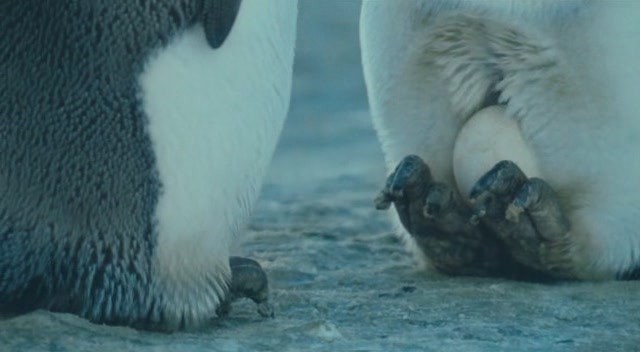 İmparatorun Yolculuğu Fotoğrafı