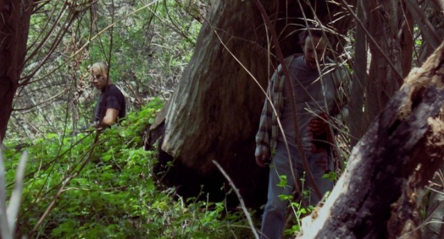 Taught In Cold Blood Fotoğrafı