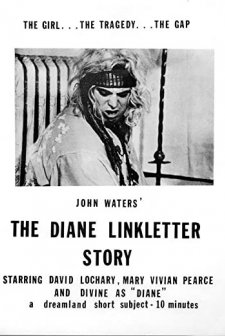 The Diane Linkletter Story (1970) afişi