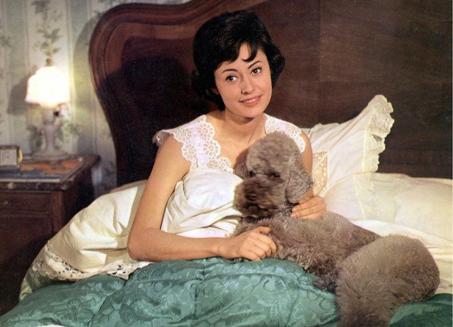 Schneewittchen Und Die Sieben Gaukler fotoğrafı