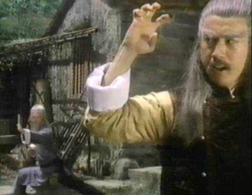 Ninja Checkmate Fotoğrafı