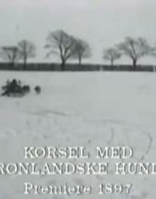 Kørsel Med Grønlandske Hunde (1897) afişi