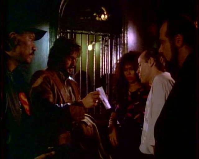 Gece Şahini Fotoğrafı