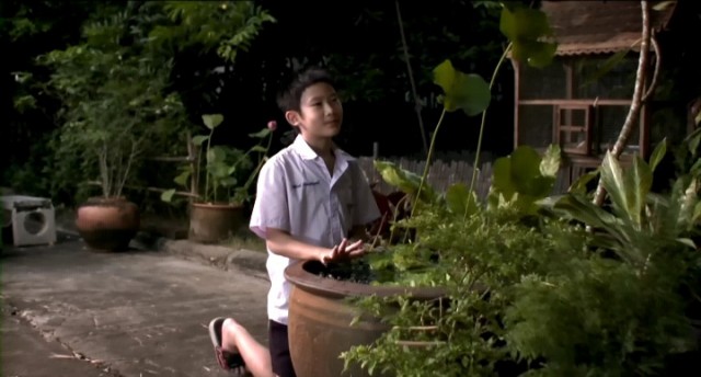 The Little Comedian Fotoğrafı