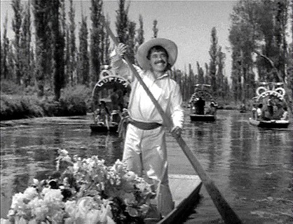 El Violetero Fotoğrafı