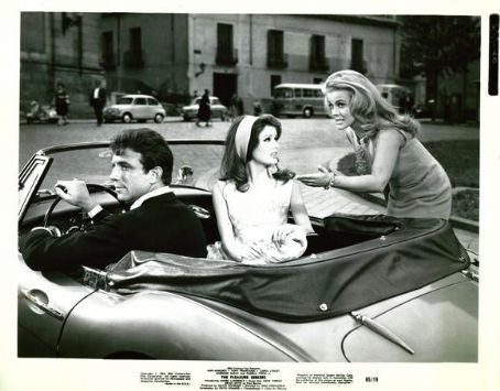 Zevk Arayanlar fotoğrafı