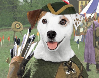 Wishbone,yaşa Wishbone Fotoğrafı