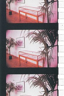 Un Jardin D'hiver (1974) afişi