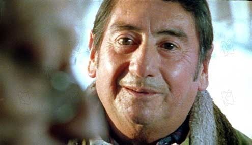 Bombon Köpek Fotoğrafı