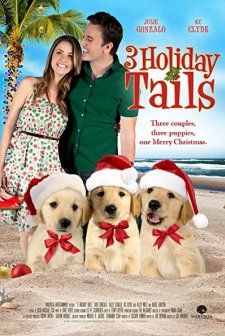 3 Holiday Tails (2011) afişi