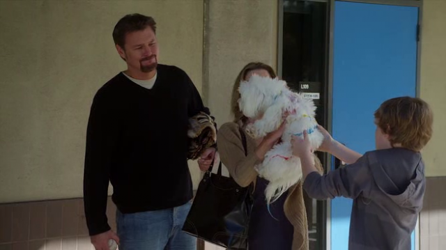 My Dog's Christmas Miracle Fotoğrafı