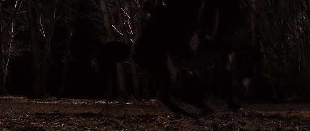 Zincirsiz Fotoğrafı